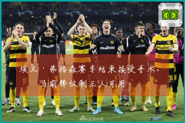 埃文·弗格森赛季结束接受手术，罗马前锋仅剩三人可用