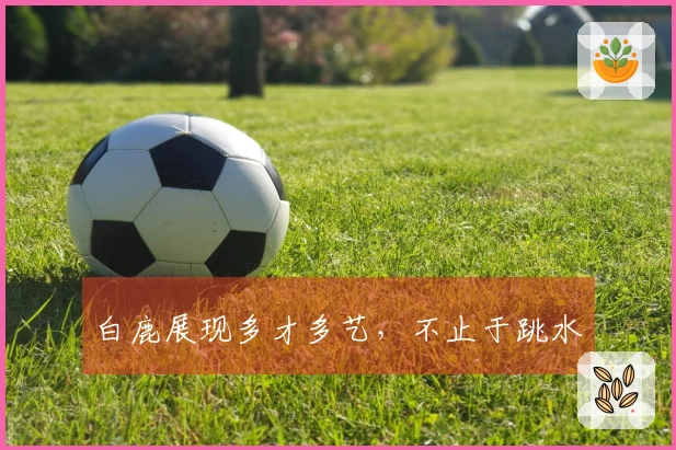 白鹿展现多才多艺，不止于跳水