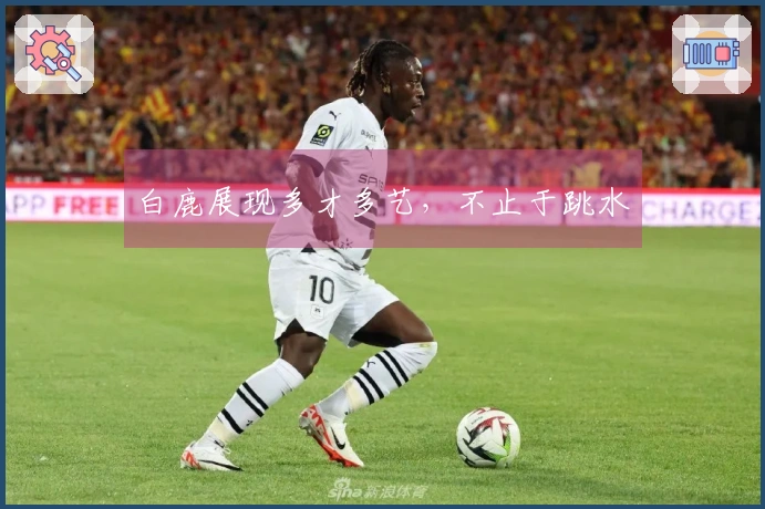 白鹿展现多才多艺，不止于跳水